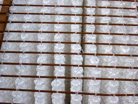 點(diǎn)擊查看詳細(xì)信息<br>標(biāo)題：組合型填料 閱讀次數(shù)：24076