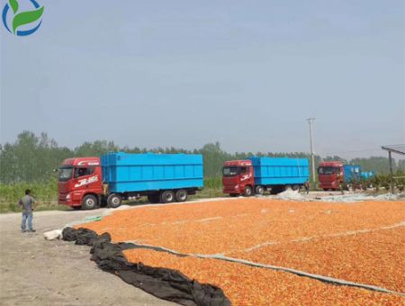 點(diǎn)擊查看詳細(xì)信息<br>標(biāo)題：云南ao一體化污水處理設(shè)備 閱讀次數(shù)：3100